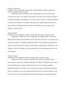 Elementos: Flor de cempasúchil, hojas de elote, semillas pintadas con pintura vegetal rojas, semillas de sandía, flores de terciopelo.