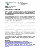 Como aumentar la leche materna
