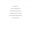 Ensayo teorías contemporáneas de educación