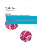 Tejido Óseo Histología General