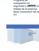 Proyecto de seguridad e higiene.