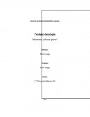Trabajo Geología “Minerales y Rocas ígneas”