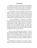 Reciclaje del aceite vegetal