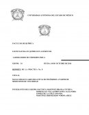 MASAS MOLECULARES RELATIVAS DE POLÍMEROS A PARTIR DE MEDICIONES DE VISCOSIDAD