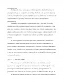 Introducción al Diseño Organizativo.