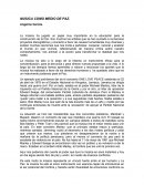 MUSICA COMO MEDIO DE PAZ.