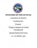 Drogas y adopción de familia homoparental