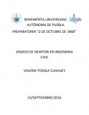 ENSAYO DE NEWTON EN INGENIERIA CIVIL