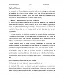 Capitulo 1 Causas La educación en México depende de muchos factores sin embargo los pilares que las sustentan se encuentran en el gobierno, y otra gran parte en la sociedad.