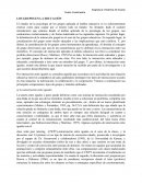 LOS GRUPOS EN LA EDUCACIÓN.