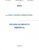 MINES OBRA: DIQUE Y CENTRAL HIDROELECTRICA ESTUDIO DE IMPACTO AMBIENTAL