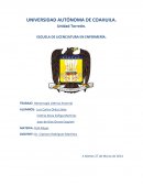 Tema: Hemorragia uterina anormal.