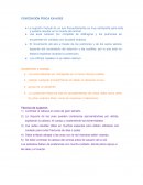 Contencion fisica en aves.