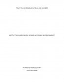 A partir de la publicación de la Constitución de la República del Ecuador de 2008