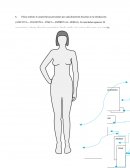 Describir cada una de las características. ¿Qué significa?, ¿Por qué la incluí?