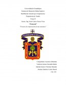 Tema- Reporte de practica.