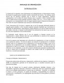 MANUALES DE ORGANIZACION.