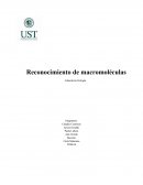 Reconocimiento de macromoléculas.