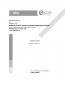 Licenciatura en tecnología y administración de empresas.