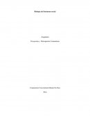 Proyección y Participación Comunitaria.