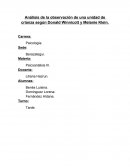 Análisis de la observación de una unidad de crianza según Donald Winnicott y Melanie Klein.