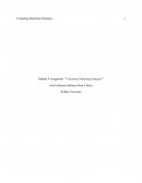 Module 9 Assignment: “Evaluating Marketing Strategies”