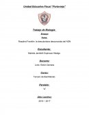 Rosalind Franklin: la descubridora desconocida del ADN