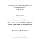 Modulo II. Modulo II emplea técnicas agrícolas para la producción.