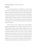 Propuesta de Solución del Caso: “¿Es Rentable la Diversificación?”.