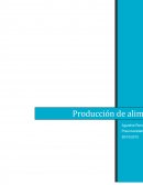 Producción Orgánica en Uruguay (el caso de GRANECO).