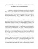 Cómo se enseñan las matemáticas a partir del plan de estudios de educación básica 2011?