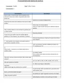 Conocicimiento sobre el sistema de escritura.