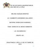 ¿Qué es el medio ambiente?