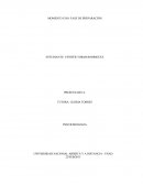 UNIVERSIDAD NACIONAL ABIERTA Y A DISTANCIA - UNAD.