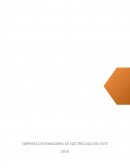 EMPRESA DISTRIBUIDORA DE ELECTRICIDAD DEL ESTE