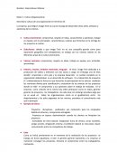 La empresa que elegí es Image Tech; la cual se encarga de desarrollar sitios webs, software y asistencia de los mismos