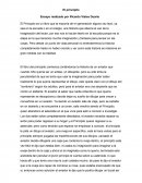 Ensayo realizado por Ricardo Viales Duarte.