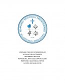 Monografia revitalización de Iglesias.