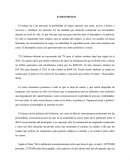 El DESEMPLEO - ENSAYO