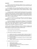 INVESTIGACIÓN DE MERCADOS. CASO NESTLÉ