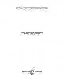 Identificacion puntos criticos.