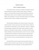 Distribución tributaria: Eficacia VS equidad de los impuestos