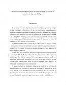 Deshidratacion de gas natural en una planta de glicol.