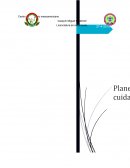 Proceso de atención de enfermería. HISTORIA NATUAL DE ENFERDAD
