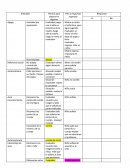 Evaluador juega con el niño en presencia de la madre, luego sale la madre, luego se retira el evaluador.