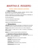 Teoría: Seres Humanos Unitarios.