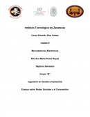 Mercadotecnia Electronica. Ensayo sobre Redes Sociales y el Consumidor