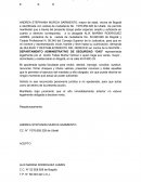 Accion de nulidad y reestablecimiento.