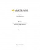 PRACTICA PROFESIONAL PROBLEMA.