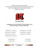 Procesos Químicos “Elaboración de un Vino a base de “Cocos Nuciferas” en el Sector Punta Iguana – Municipio Santa Rita”.